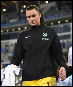 Zećira Mušović Swedish Footballer